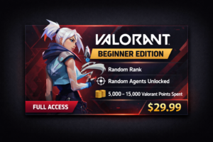 Valorant Beginner Valorant Beginner Edition