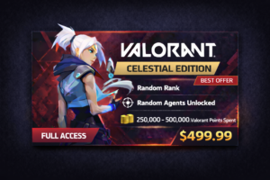 Valorant Celestial Edition (BEST OFFER)